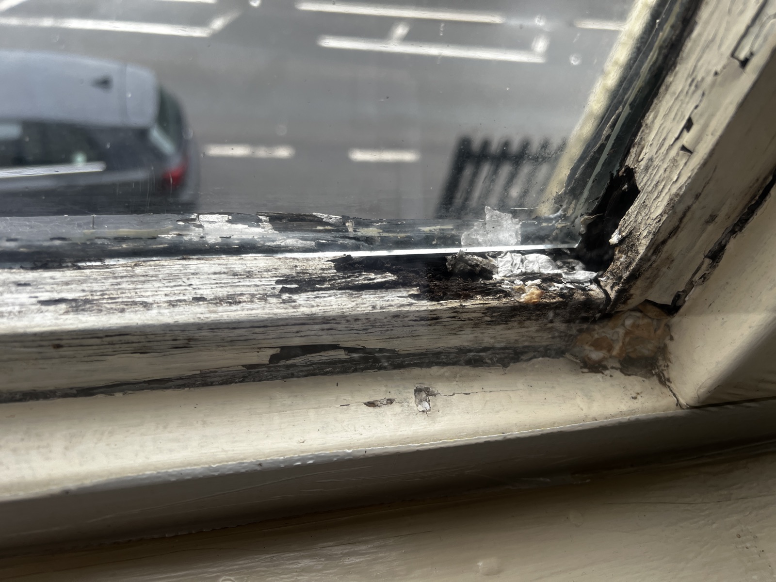 Severe interior-side rot at the bottom corner of a wooden sash window — pulpy blackened timber, failed putty, cracked paintwork and water staining caused by years of winter condensation pooling on the cold single-glazed pane and soaking into the wood